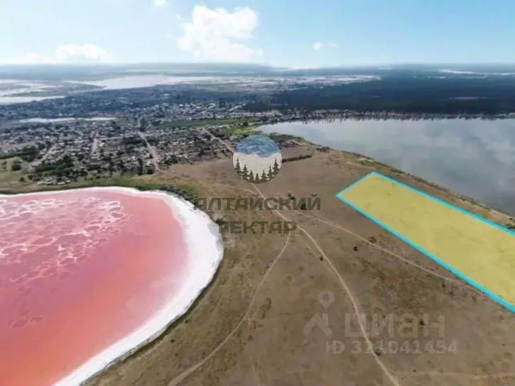 Участок в Алтайский край, Михайловский район, Малиновое Озеро рп  ... - Фото 1