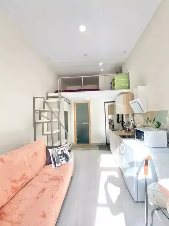 Студия Санкт-Петербург Лермонтовский просп., 10/53 (24.0 м) - Фото 1