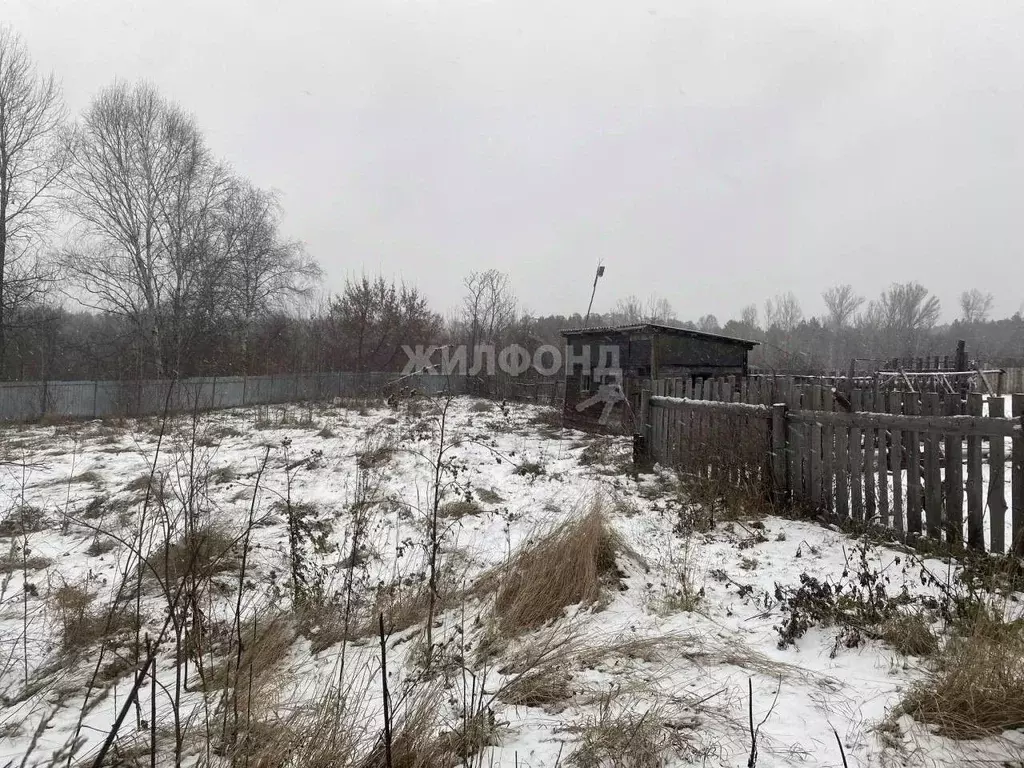 Участок в Алтайский край, Барнаул городской округ, Ползуново ст. ул. ... - Фото 0