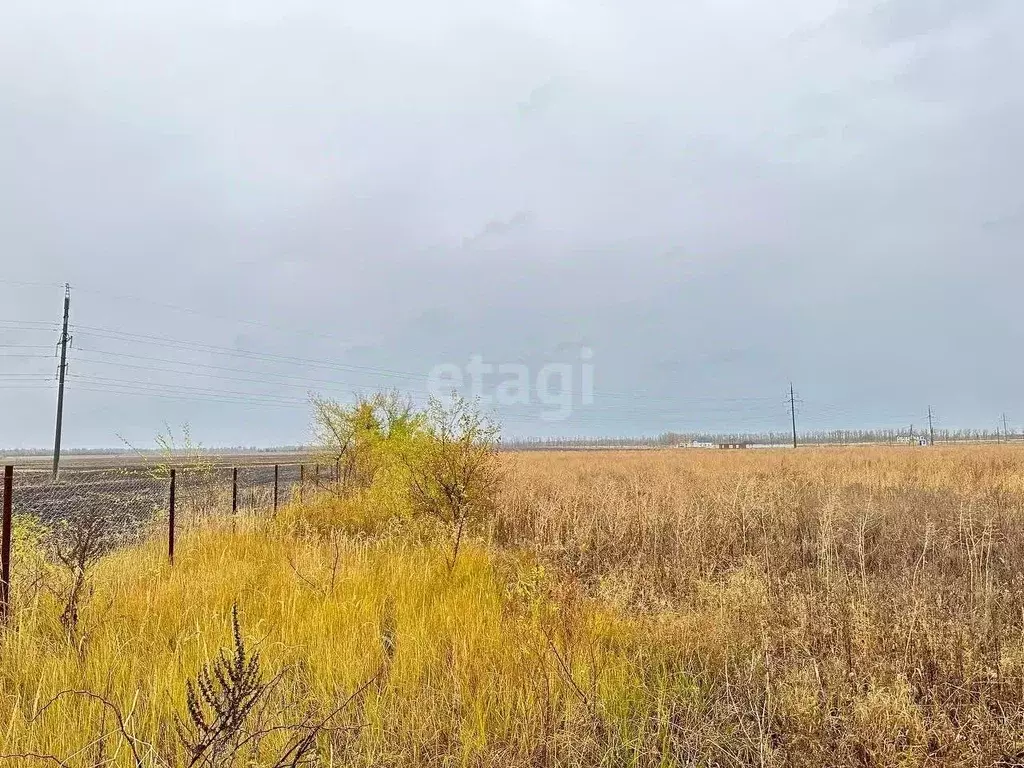 Участок в Воронежская область, Воронеж Севастопольская ул. (5.0 сот.) - Фото 1