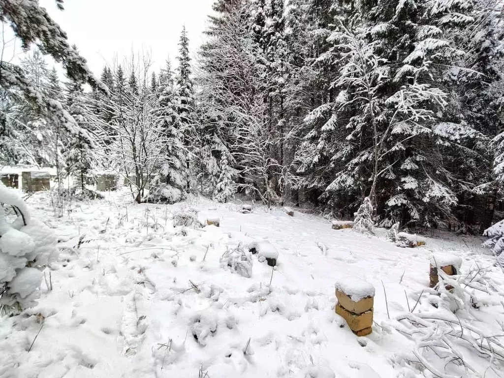 Участок в Свердловская область, Нижний Тагил муниципальный округ, пос. ... - Фото 1