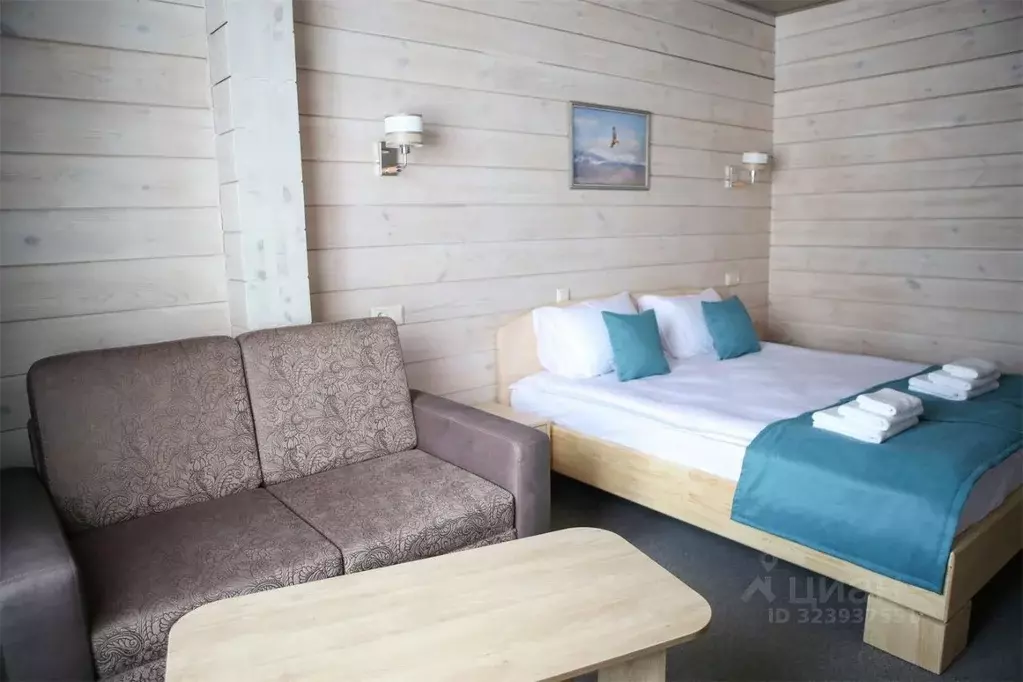 Комната Алтайский край, Белокуриха ул. Бреславского, 22/2 (25.0 м) - Фото 2