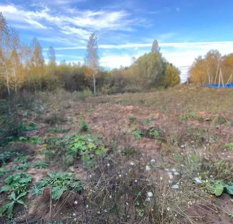 Участок в Калужская область, Калуга городской округ, д. Рождествено  ... - Фото 0