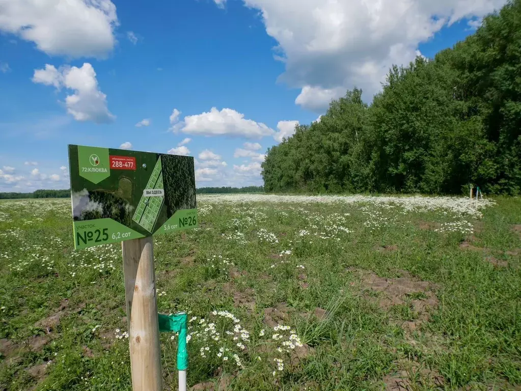 Участок в Тюменская область, Тюменский муниципальный округ, ... - Фото 1