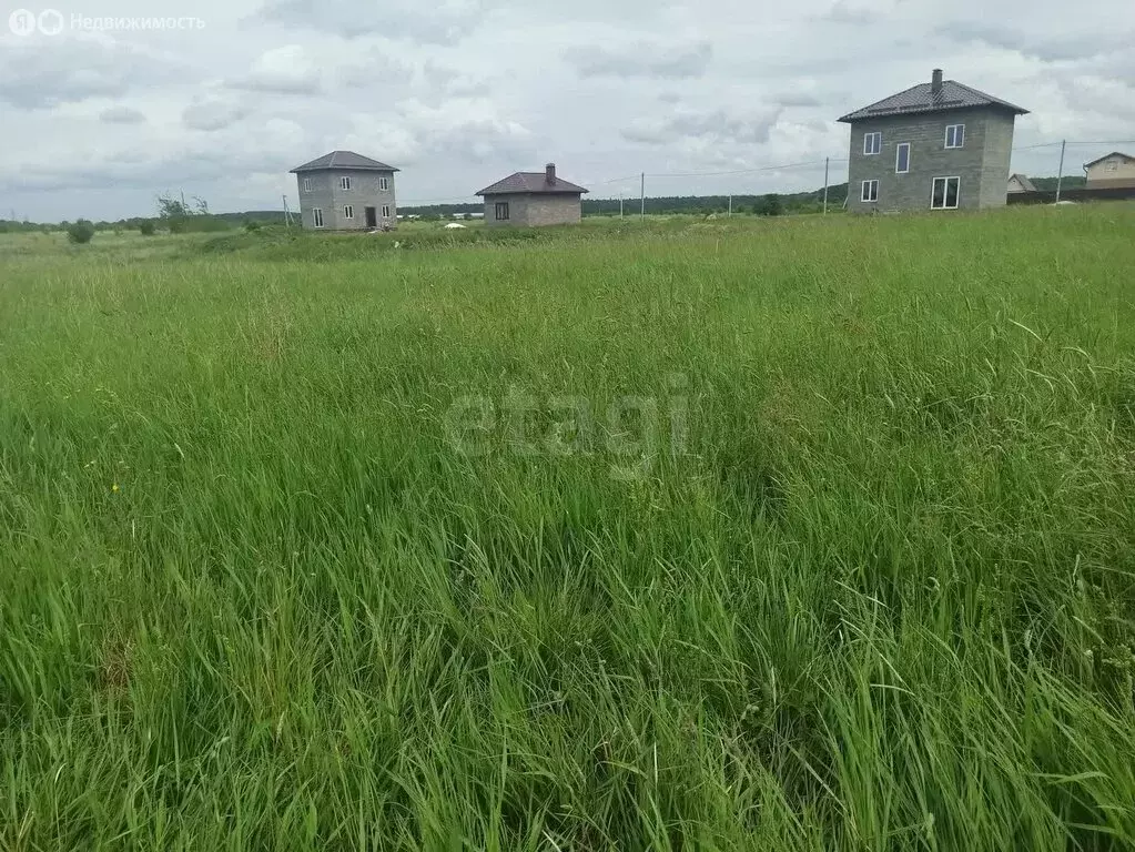 Участок в Калининградская область, Гурьевский муниципальный округ, ... - Фото 1