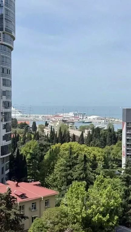 1-к кв. Краснодарский край, Сочи Центральный мкр, ул. Войкова, 34 ... - Фото 0