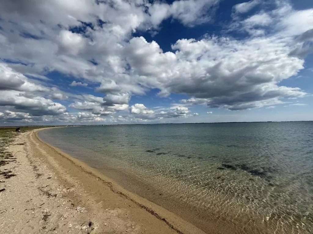 Участок в Крым, Черноморский район, Медведевское с/пос, с. Медведево  ... - Фото 1