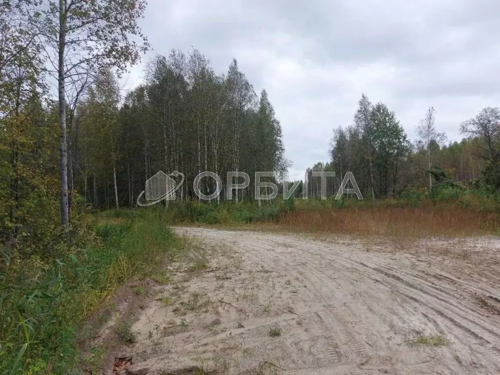 Участок в Тюменская область, Нижнетавдинский район, Сундукульский ... - Фото 0