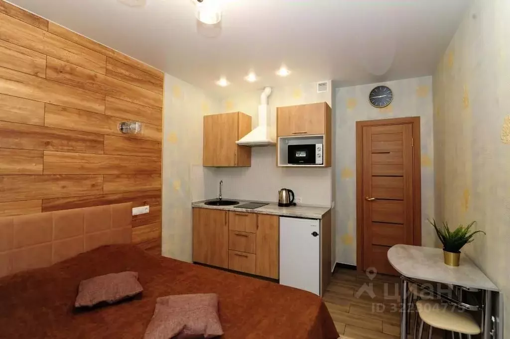 1-к кв. Московская область, Раменское Северное ш., 38 (21.0 м) - Фото 2