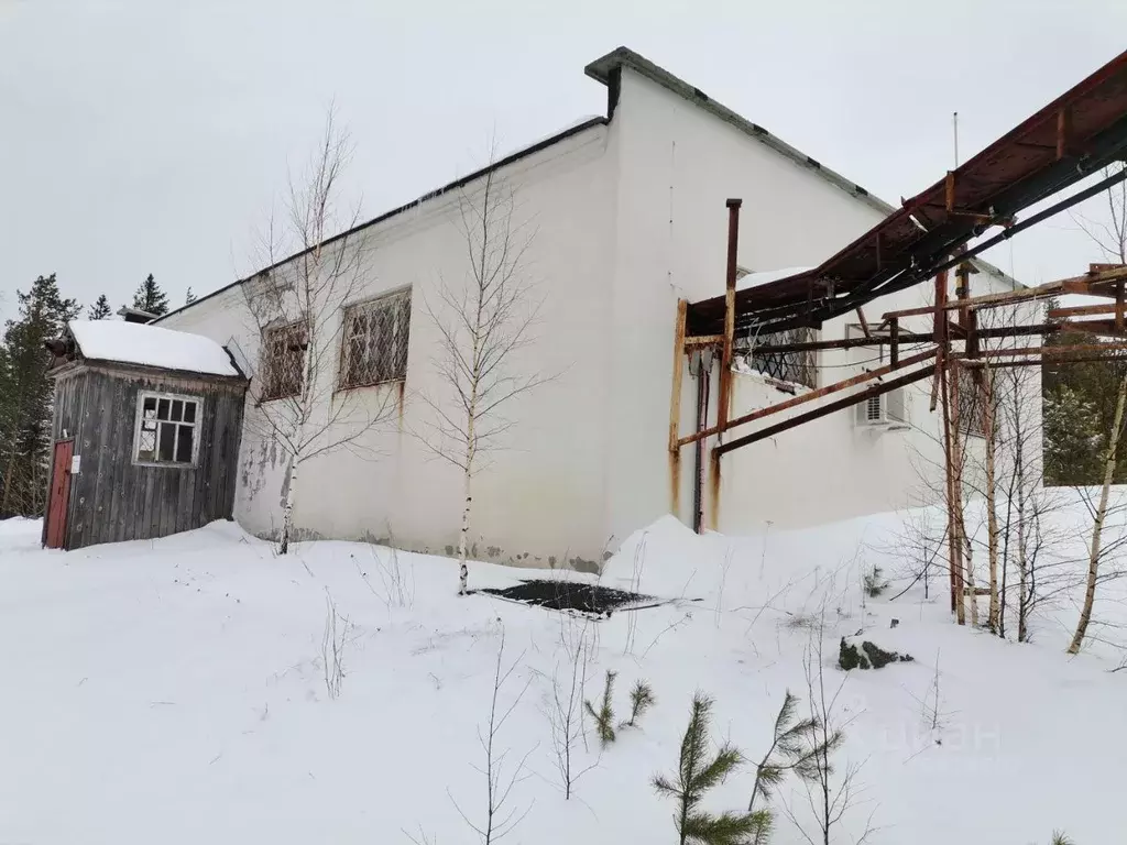 Помещение свободного назначения в Свердловская область, Кушвинский ... - Фото 0