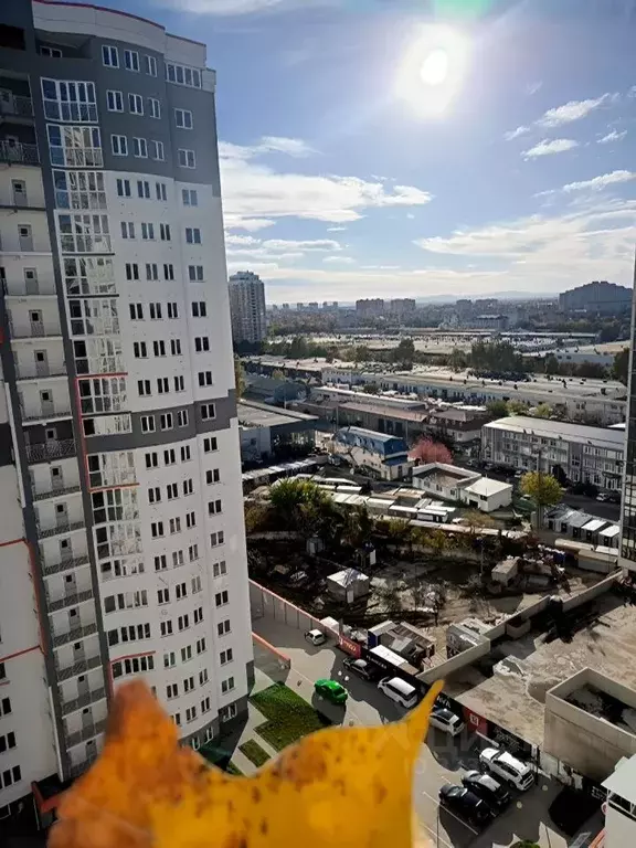 1-к кв. Краснодарский край, Краснодар Уральская ул., 100 (42.0 м) - Фото 1