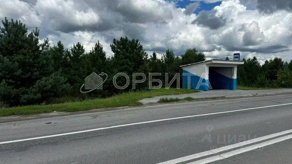 Участок в Свердловская область, Слободо-Туринский район, ... - Фото 2