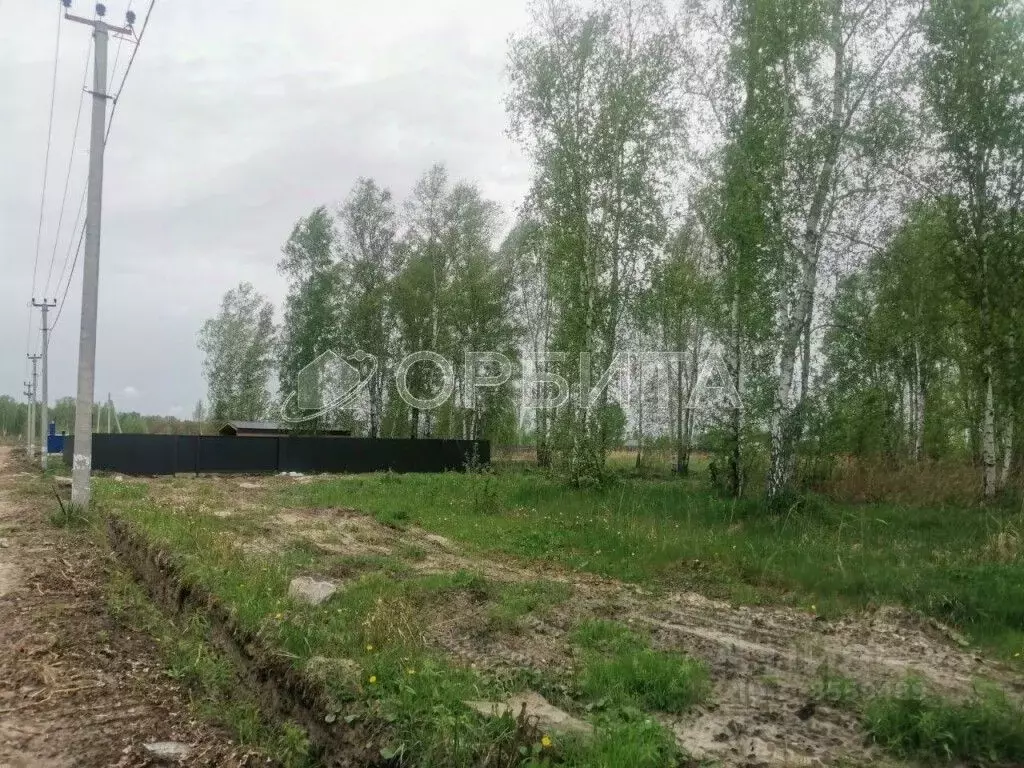 Участок в Тюменская область, Тюменский район, д. Решетникова  (5.22 ... - Фото 0