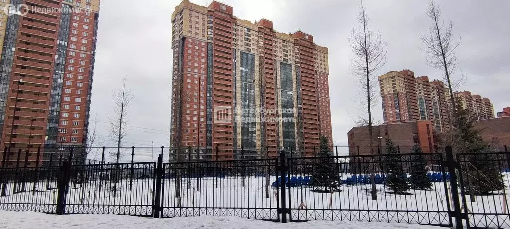 Квартира-студия: посёлок Парголово, Толубеевский проезд, 24 (22.1 м) - Фото 2