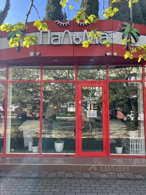 Помещение свободного назначения в Краснодарский край, Сочи ул. ... - Фото 2