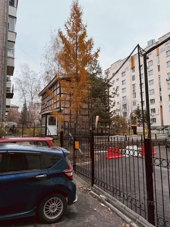 Помещение свободного назначения в Новосибирская область, Новосибирск ... - Фото 1