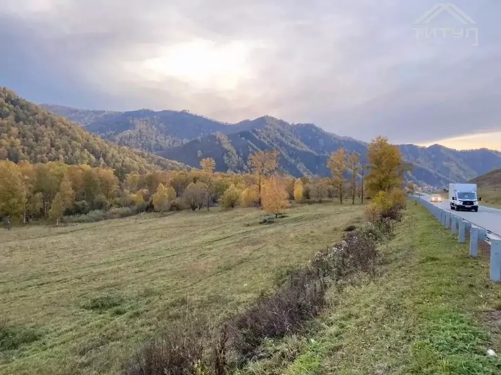 Участок в Алтай, Шебалинский район, с. Мыюта Российская ул. (32.39 ... - Фото 1