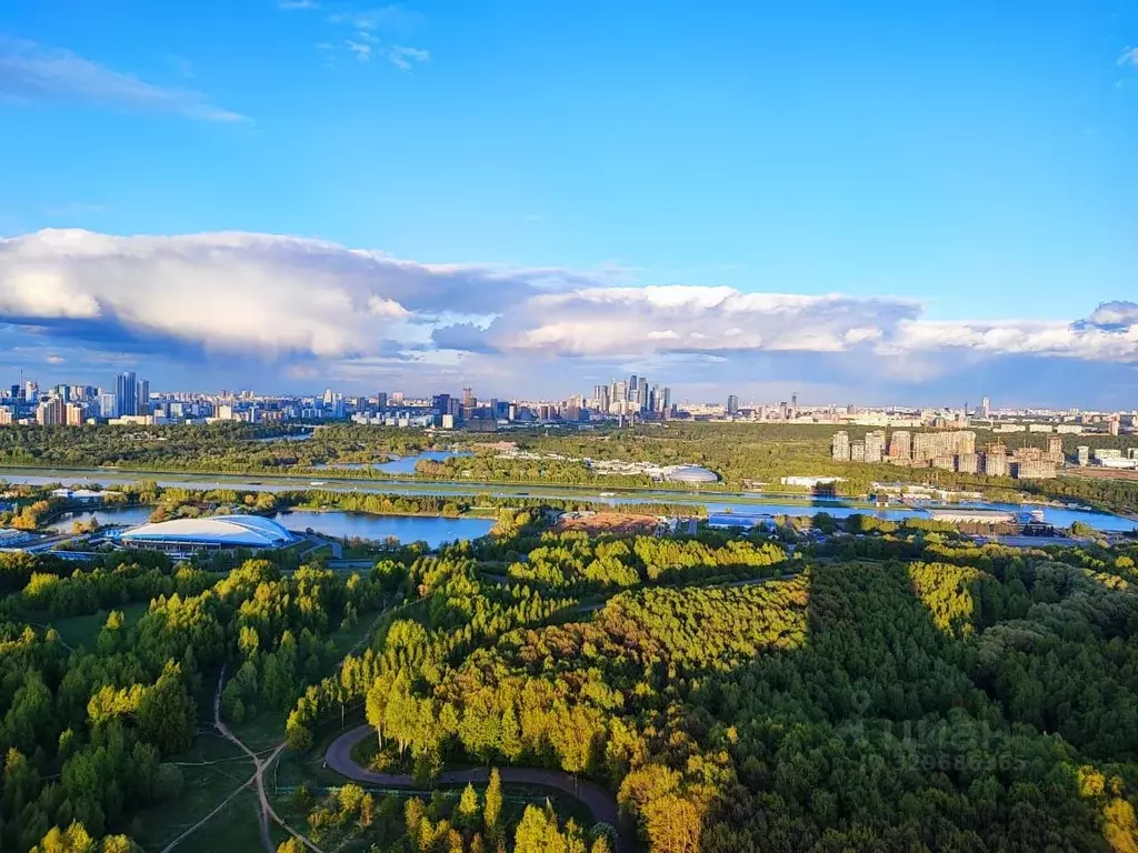 3-к кв. Москва ул. Крылатские Холмы, 37 (165.0 м) - Фото 2
