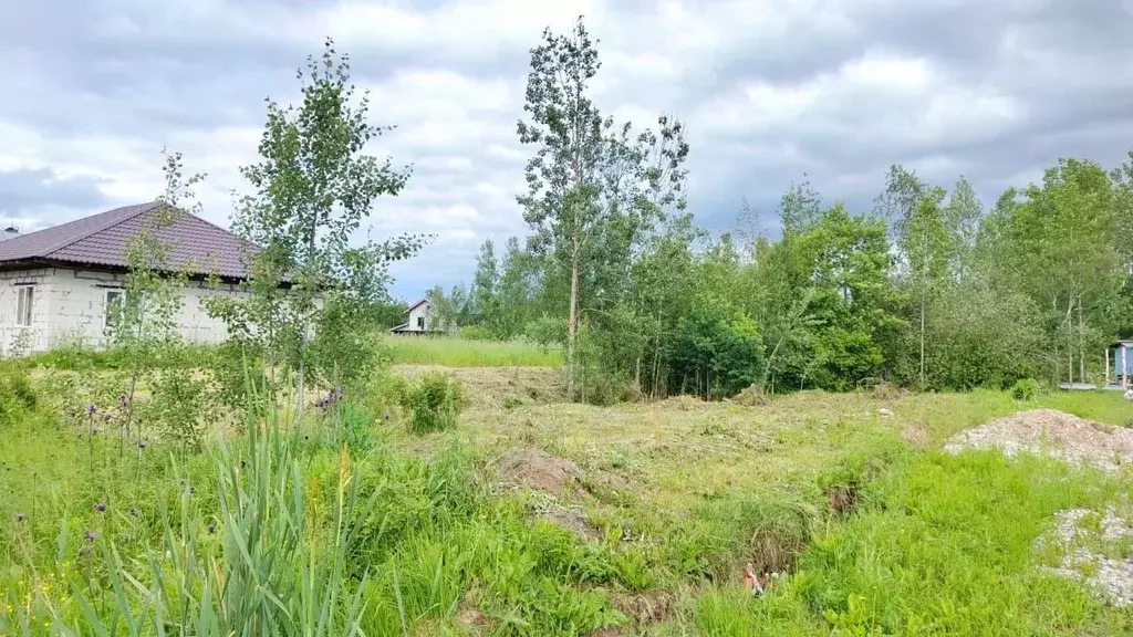 Участок в Новгородская область, Новгородский район, Ермолинское с/пос, ... - Фото 1