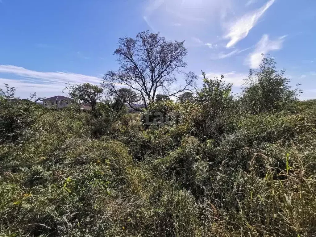 Участок в Приморский край, Уссурийск ул. Дружбы (12.8 сот.) - Фото 0