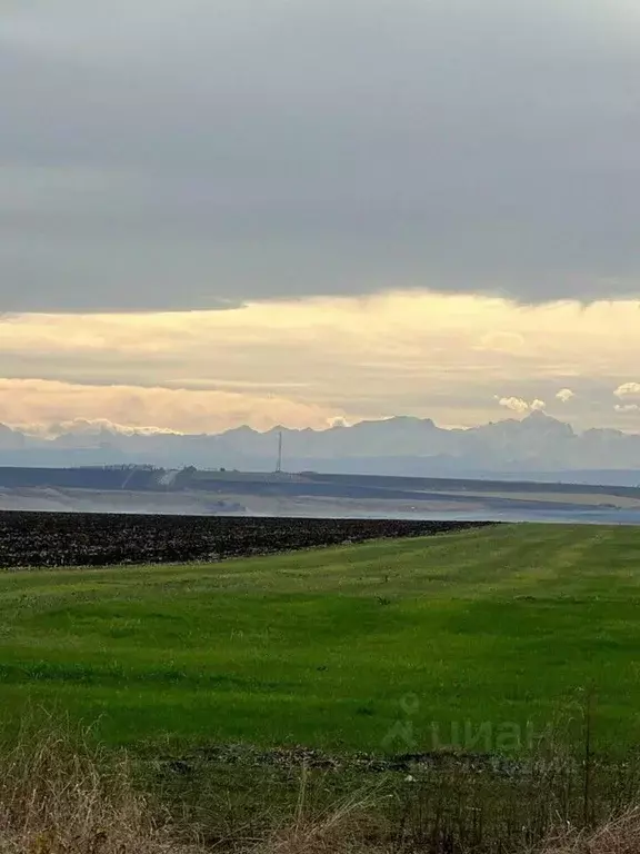 Участок в Ставропольский край, Предгорный муниципальный округ, пос. ... - Фото 1