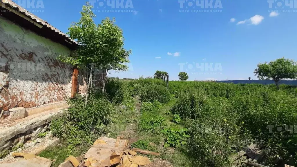 Участок в Челябинская область, Чебаркульский район, Травниковское ... - Фото 0