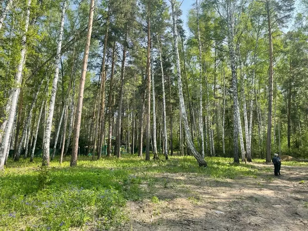 Участок 12 сот. (СНТ, ДНП) - Фото 0