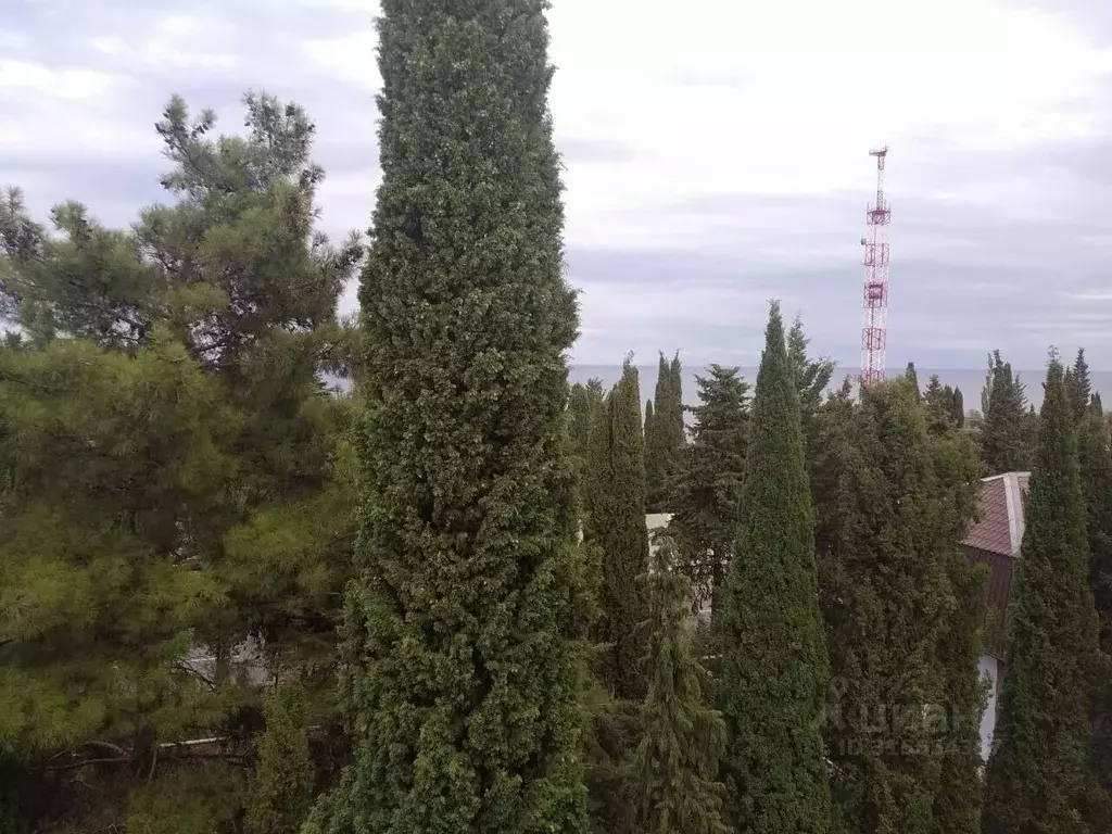 3-к кв. Крым, Алушта муниципальный округ, Партенит пгт ш. Фрунзенское, ... - Фото 0
