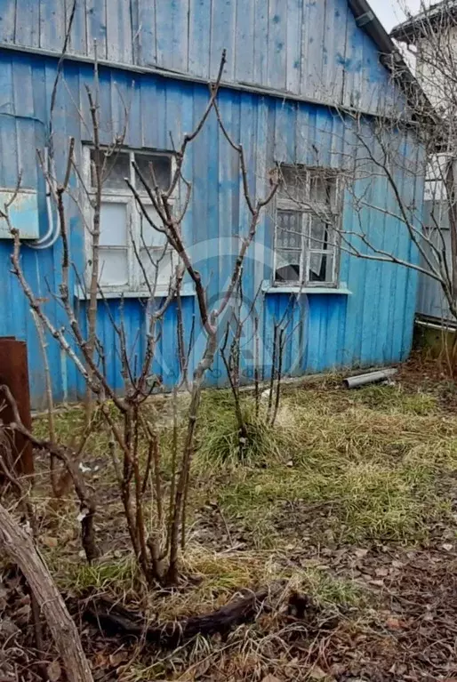 Дом в Краснодарский край, Туапсинский муниципальный округ, ... - Фото 2