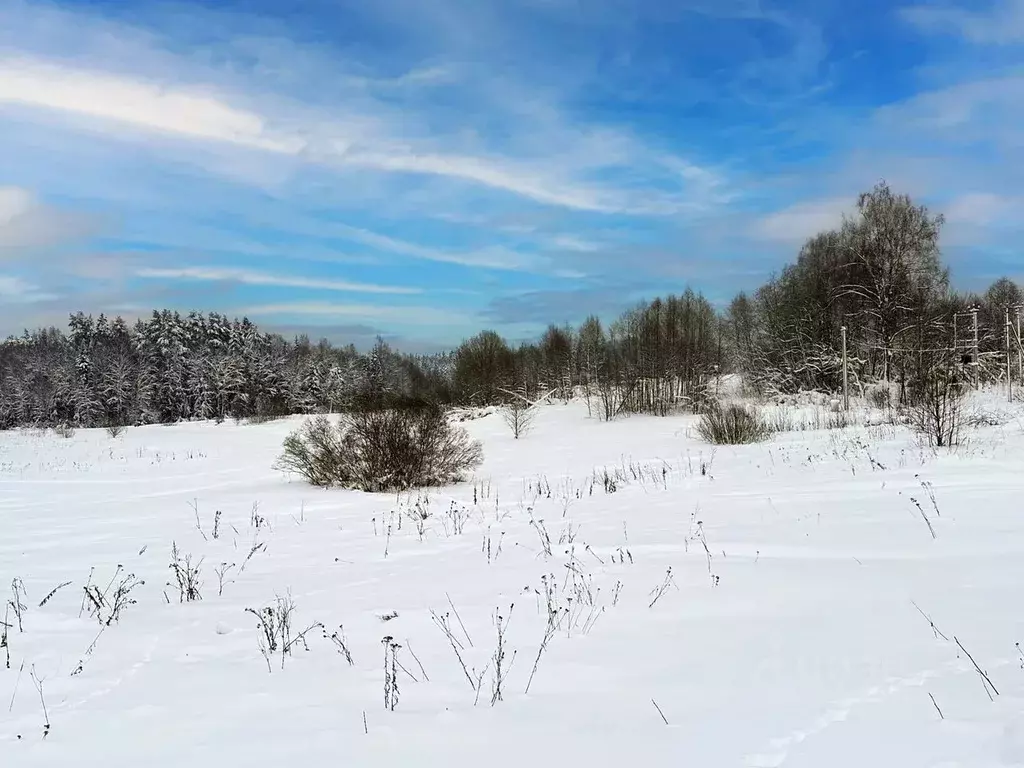 Участок в Московская область, Дмитровский муниципальный округ, Ерыково ... - Фото 1