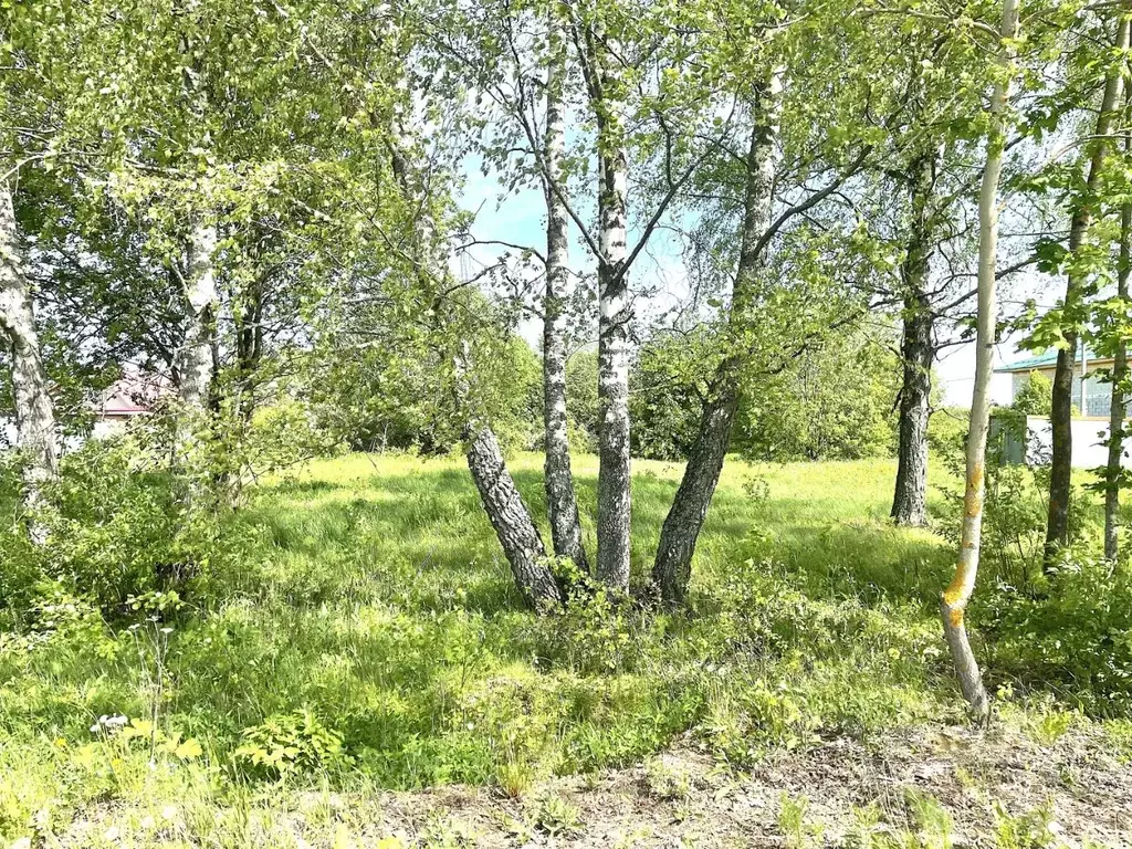 Участок в Московская область, Сергиево-Посадский городской округ, д. ... - Фото 1