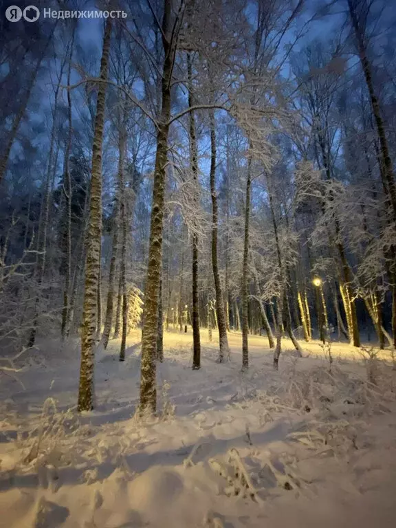 3-комнатная квартира: Москва, улица Богданова, 16 (62.4 м) - Фото 2