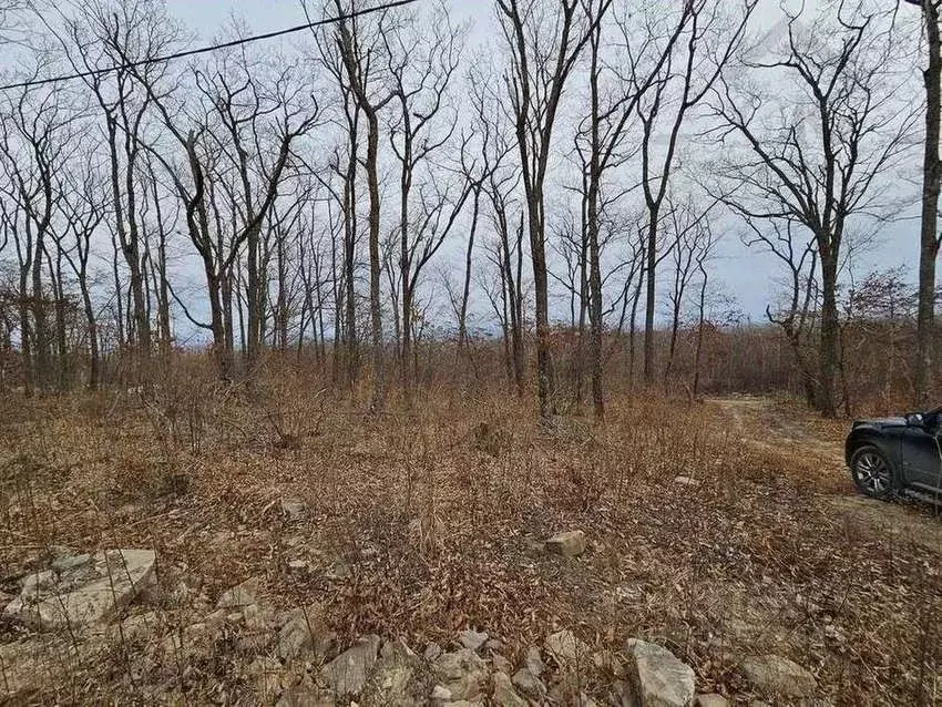 Участок в Приморский край, Владивосток ул. Беркутовая, 14А (10.5 сот.) - Фото 2