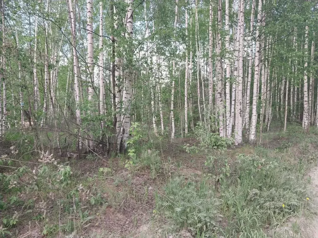 Участок 4,7 сот. (ИЖС) - Фото 0