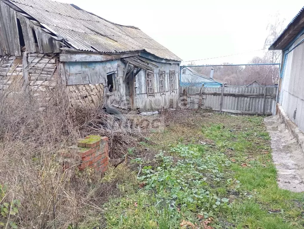 Участок в Курская область, Октябрьский район, Дьяконовский сельсовет, ... - Фото 2