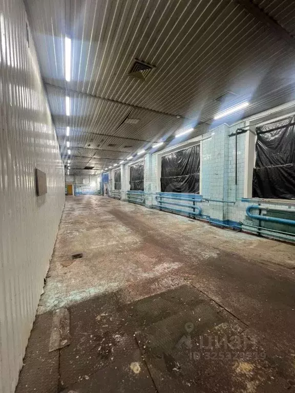 Склад в Новосибирская область, Новосибирский район, Мочищенский ... - Фото 1