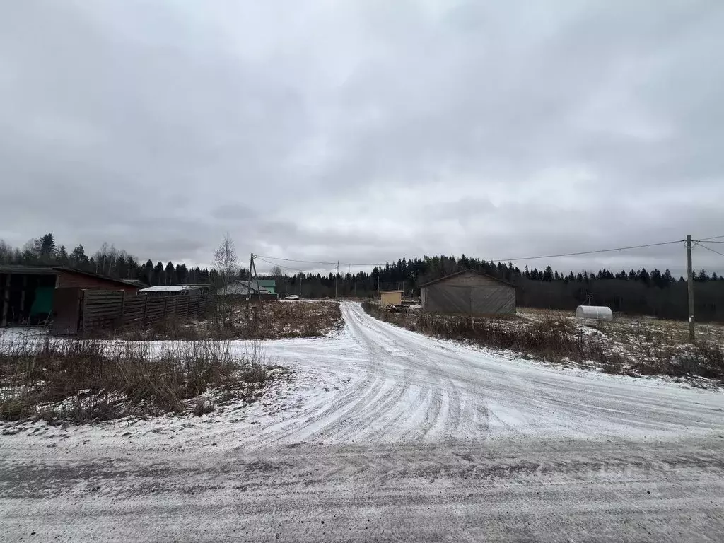 Участок в Карелия, Лахденпохья Полевая ул. (14.0 сот.) - Фото 2