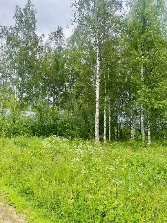 Участок 8 сот. (СНТ, ДНП) - Фото 0