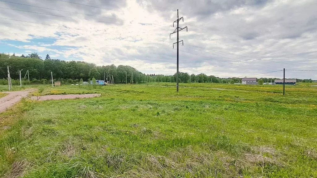 Участок в Ленинградская область, Ломоносовский район, Лопухинское ... - Фото 1