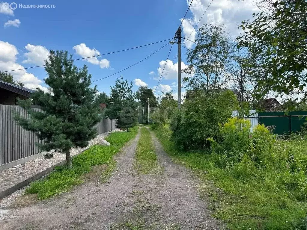 участок в санкт-петербург, садоводческое некоммерческое товарищество . - Фото 0