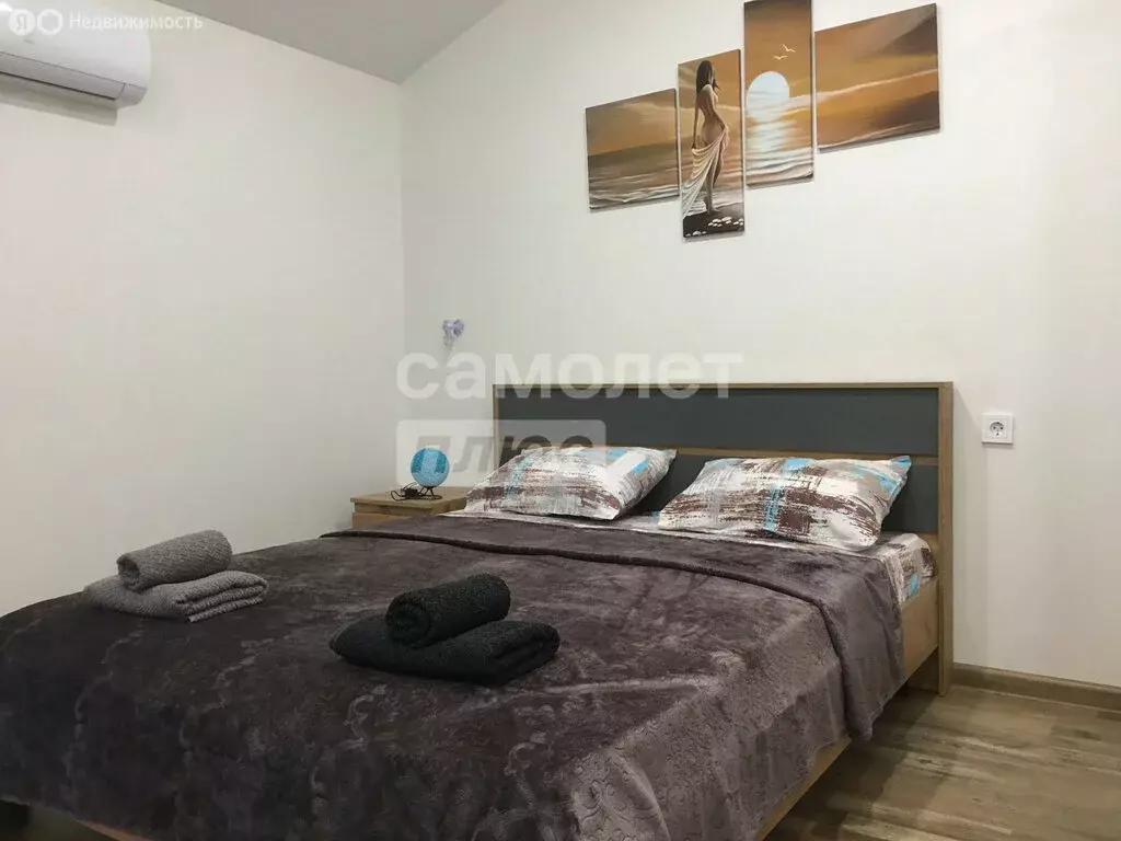 Квартира-студия: посёлок Веселовка, Весёлая улица, 7 (21 м) - Фото 2