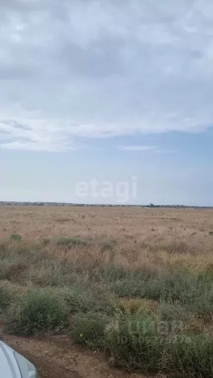 Участок в Крым, Сакский район, Молочненское с/пос, с. Витино ул. ... - Фото 0