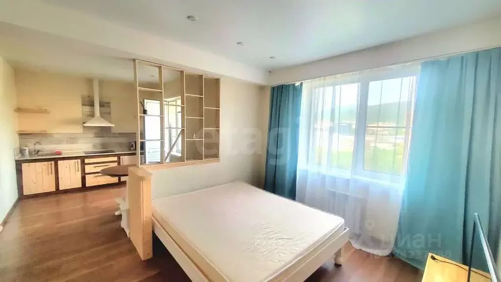 Студия Сахалинская область, Южно-Сахалинск ул. Ленина, 563к1 (32.1 м) - Фото 1