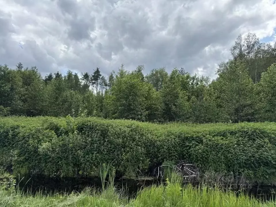 Участок в Новгородская область, Валдай Лесхозная ул. (15.0 сот.) - Фото 0