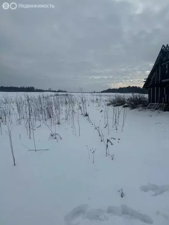 Участок в Ленинградская область, Гатчинский муниципальный округ, ... - Фото 2