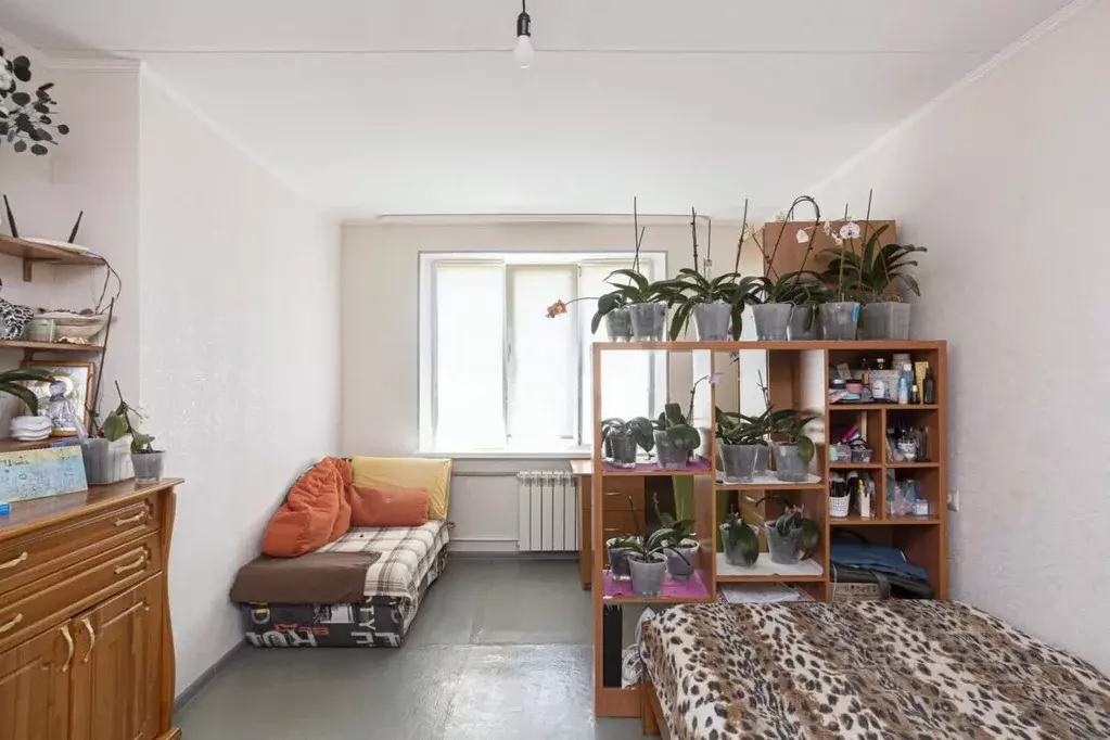 1-к кв. Севастополь просп. Октябрьской Революции, 40/1 (38.3 м) - Фото 1