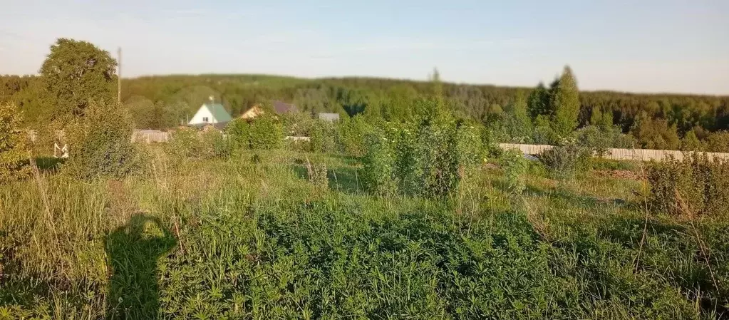 Участок 10 сот. (ИЖС) - Фото 0