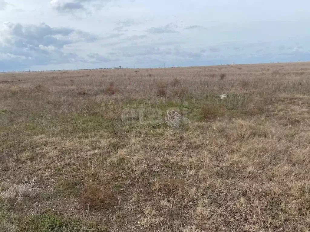 Участок в Крым, Черноморский район, с. Новосельское  (100.0 сот.) - Фото 1