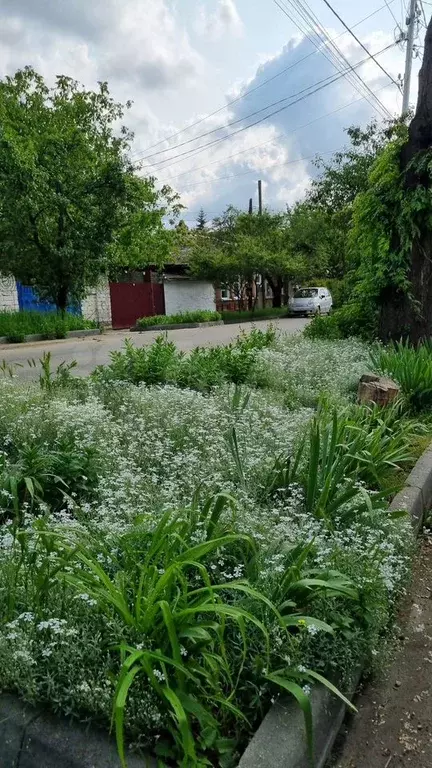 2-к. квартира, 35 м, 1/1 эт. - Фото 1