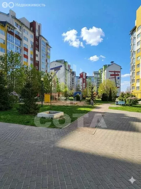 1-комнатная квартира: село Новая Усмань, улица Площадь Малевича, 1 (36 ... - Фото 1